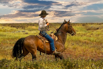 Cowboy Plains